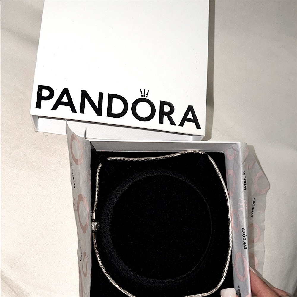 Pandora Sleek Silver Necklace